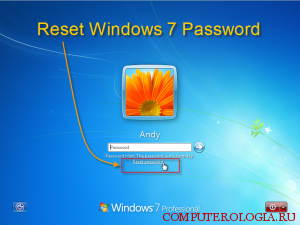 Password reset