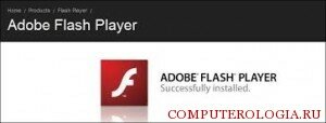 Плагин Adobe Flash Player
