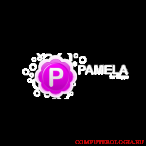  Программа Pamela for Skype