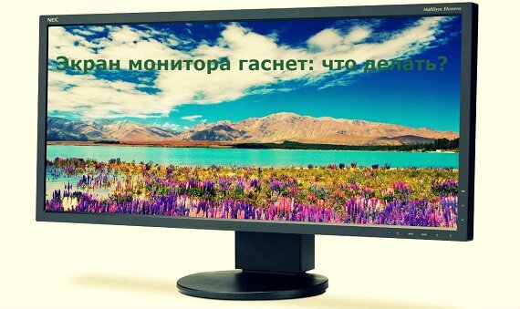 ekran-monitora-gasnet-chto-delat1.jpg